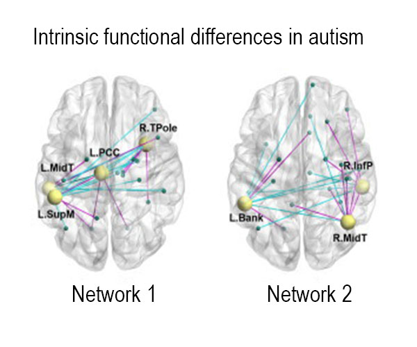 Computational Models of Autism | The GW Autism and 