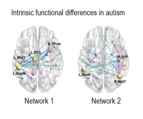 Computational neuroscience image